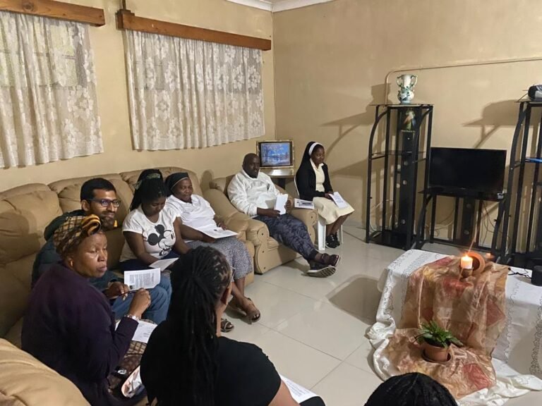 Dominican Youth Movement